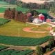 field of dreams main photo